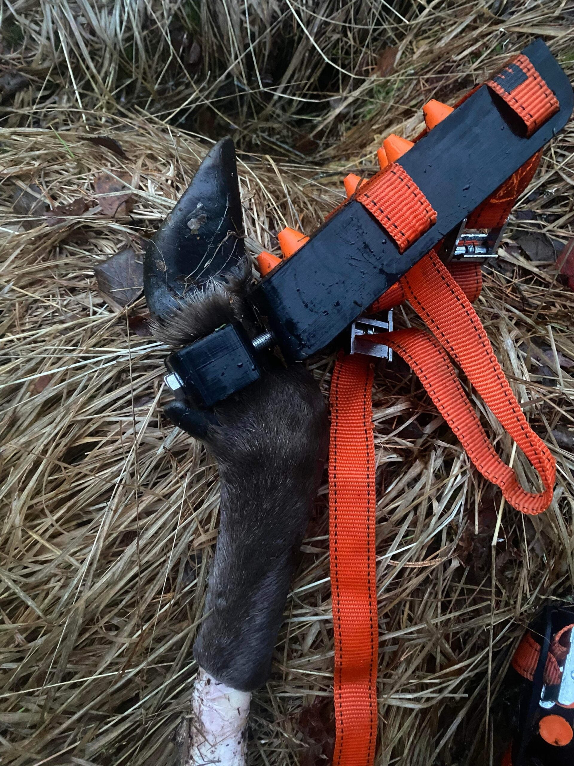 Sporsko for klauv med gummiknotter